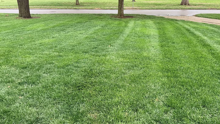 Two photos: one of a lawn full of dandelion weeds, and another with a perfect lawn after consistent care