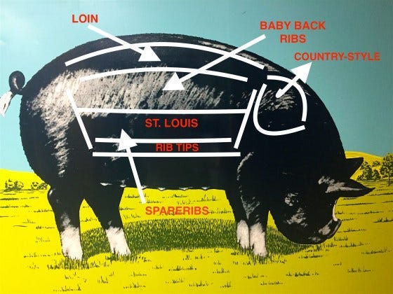 Pig anatomy on virginiawillis.com Pig anatomy on virginiawillis.com