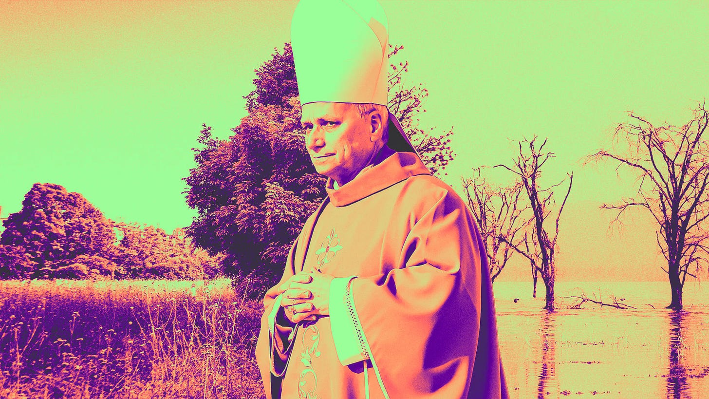 The new pope, Leo XIV, has spoken out about urgent need for climate change action