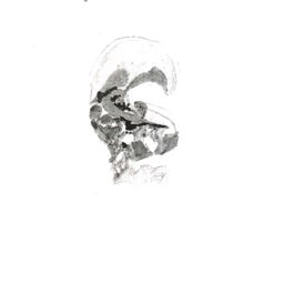 Substack profile picture for @life