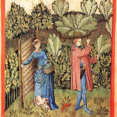 The Polyculture Post