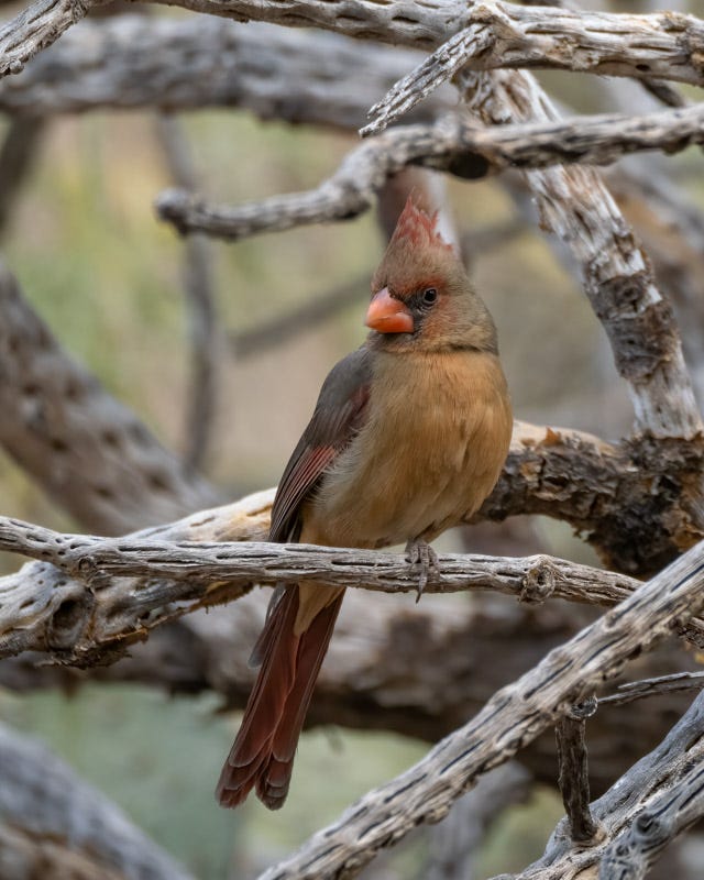 20250127-MBY-29-Edit.jpg 20250127-MBY-29-Edit.jpg