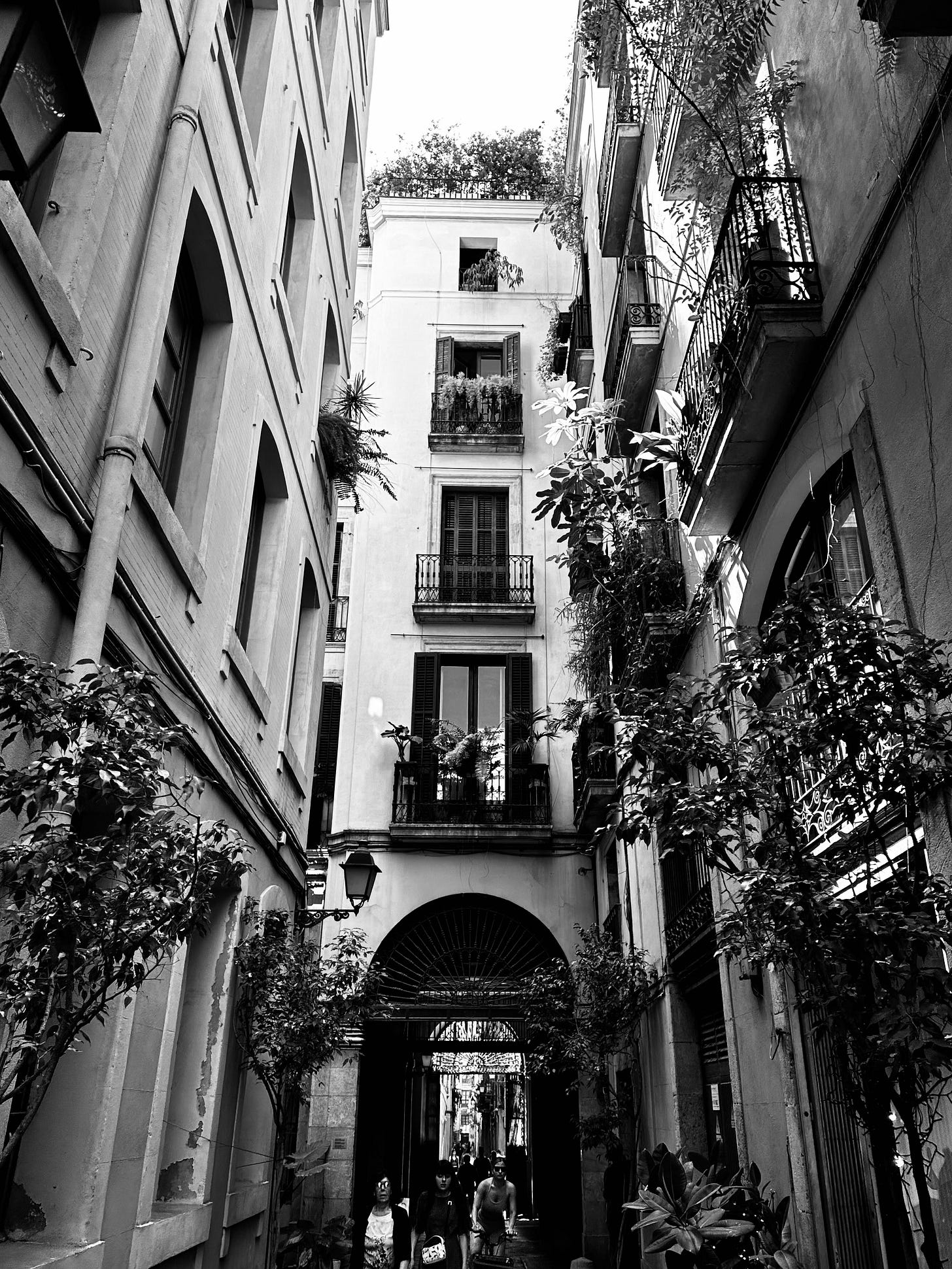 Architectural Serenity: A Barcelona Building's Gentle Curve Architectural Serenity: A Barcelona Building's Gentle Curve