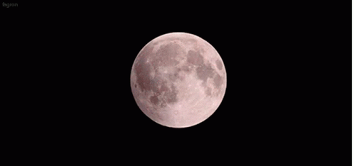 Moon Eclipse GIF - Moon Eclipse Lunar Eclipse - Discover ...