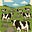 Rocks and Cows's avatar