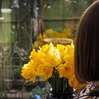 Seasonal Musings: Noticing the little things