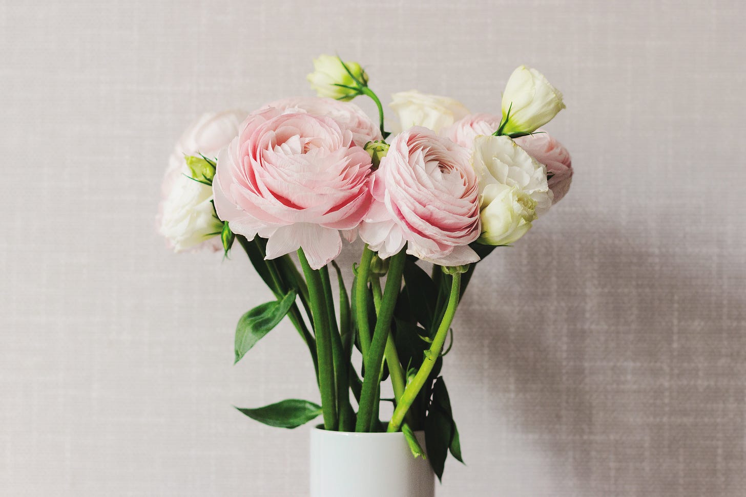 A lovely photo of pale pink and ivory roses that are beautiful, but no substitute for paid leave. A lovely photo of pale pink and ivory roses that are beautiful, but no substitute for paid leave.