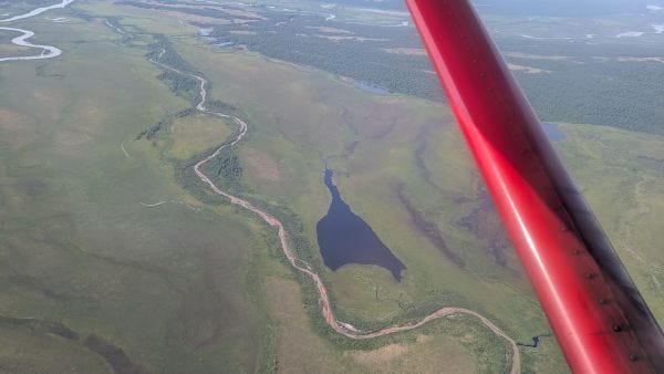 the red arm of the airplane's wing is visible looking down at a barren and wild flat landscape, mottled shades of green and yellow-tan, with a shiny river and a smaller, muddy creek winding through it
