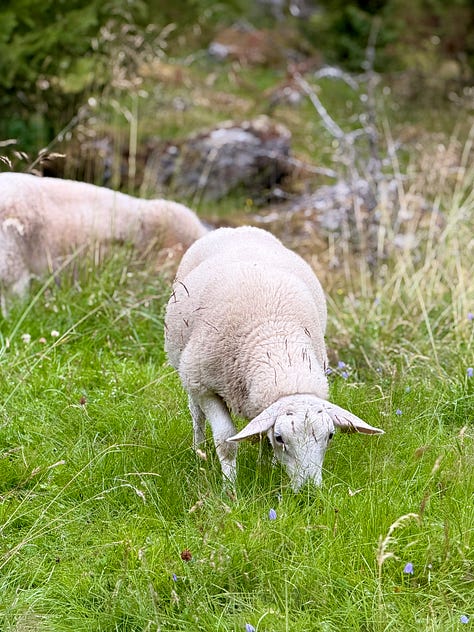 Images from Norway