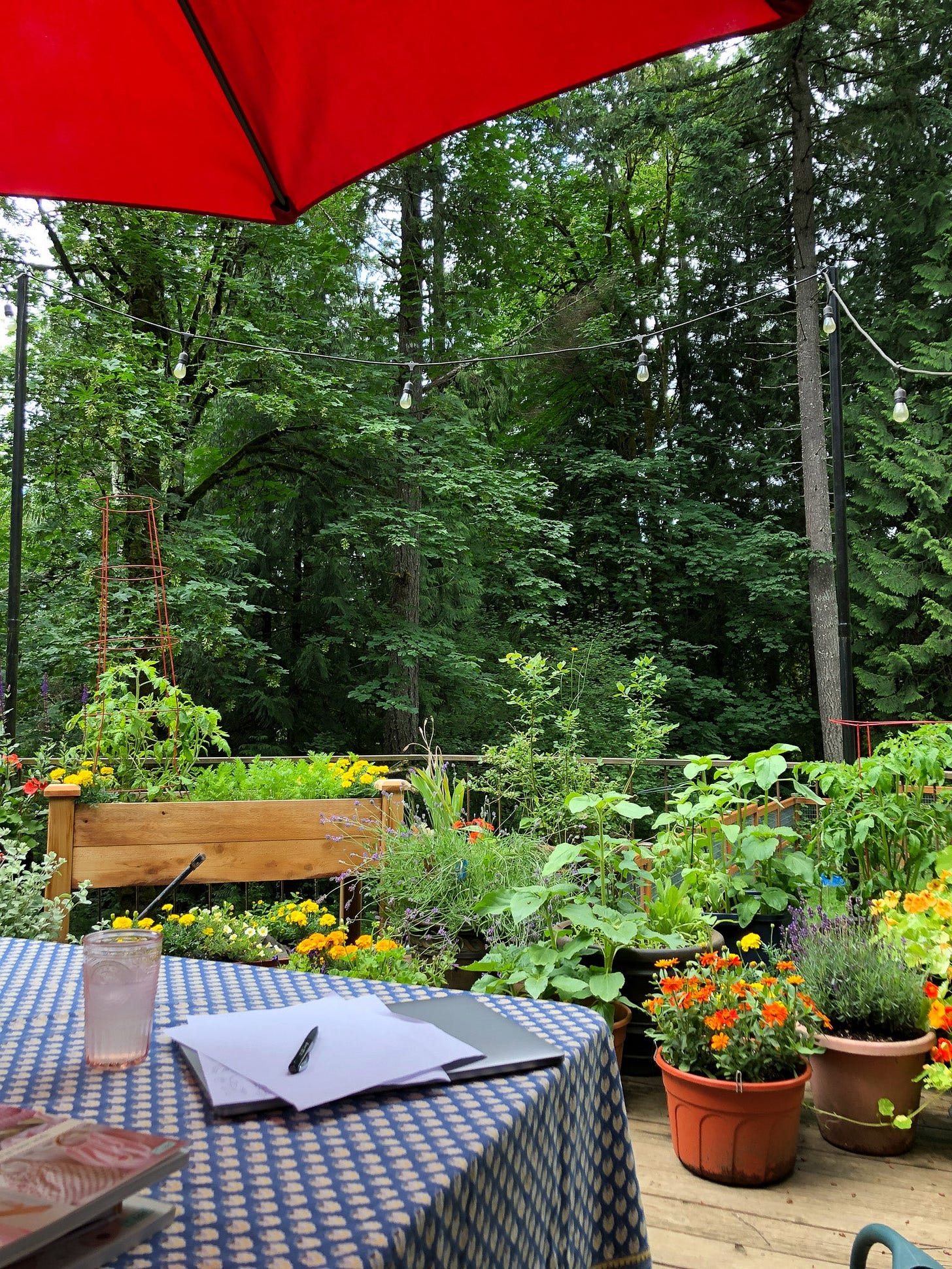 patio garden scene with table and shade umbrella
