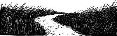 Vintage woodcut illustration depicting a winding path through tall grass  60468615 Vector Art at Vecteezy