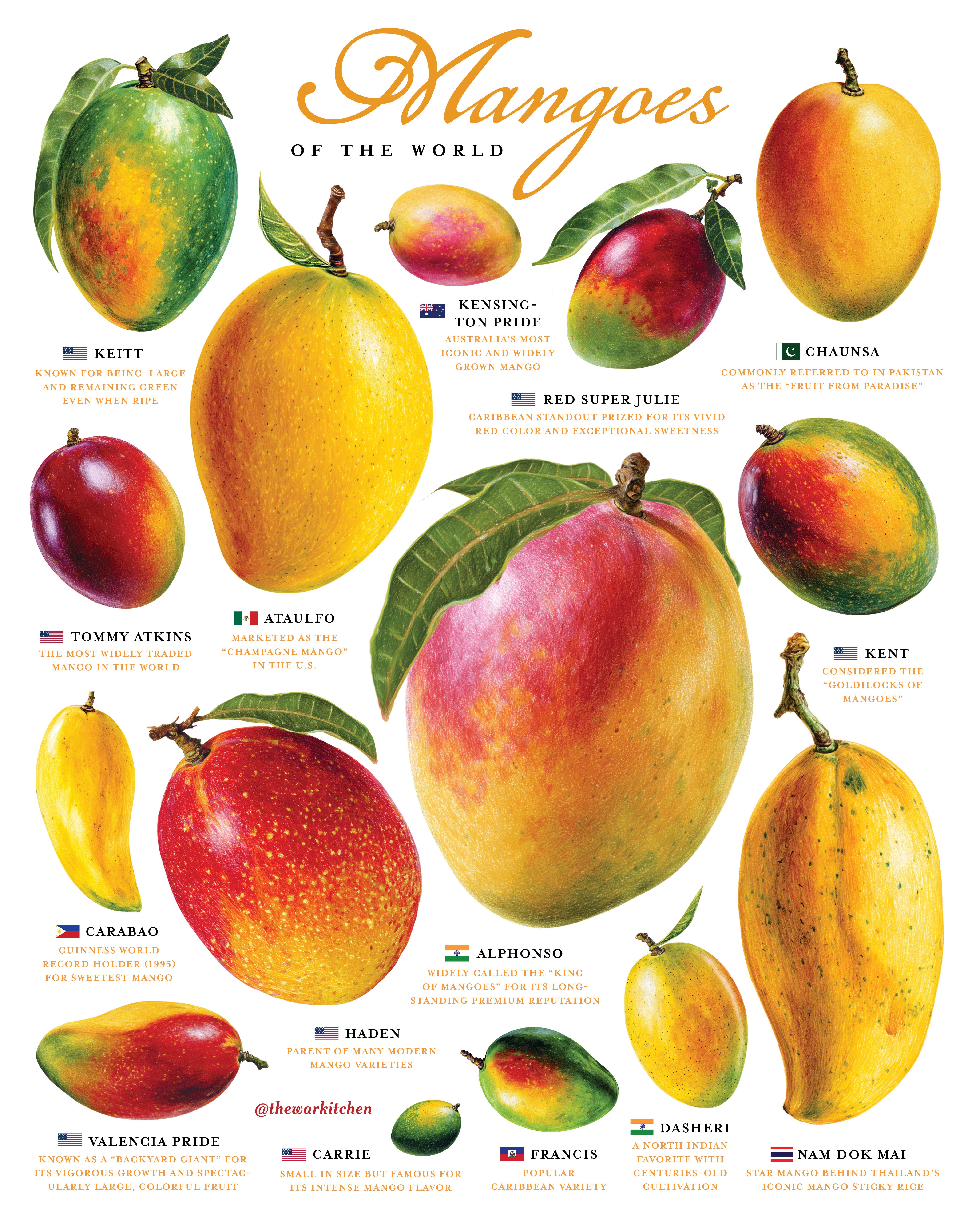 185 Mangoes of the world - WARKITCHEN