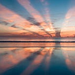 Living Freely Under Bullsh*t