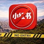 Red Note Signals #3: Taiwan’s Red Note Ban and the Politics of Safer Targets