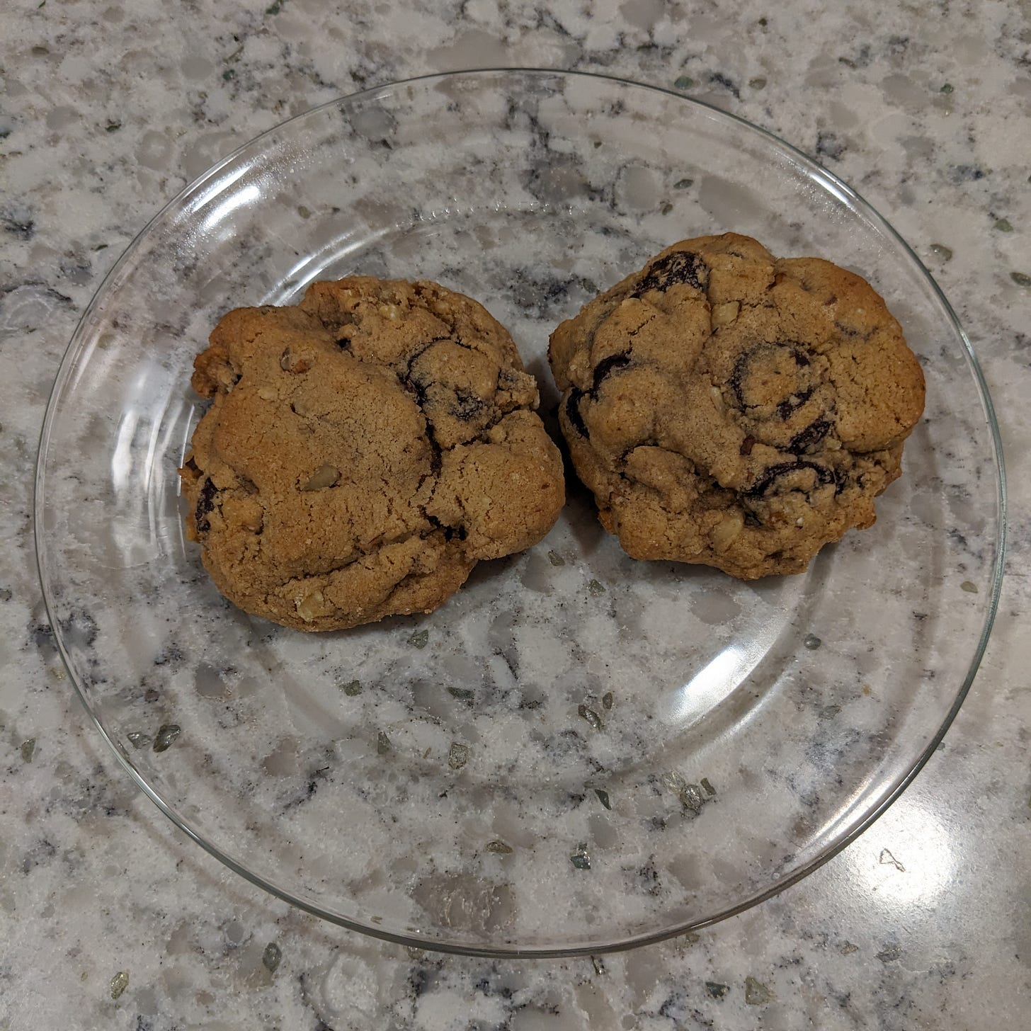 A plate with two chocolate chip cookies