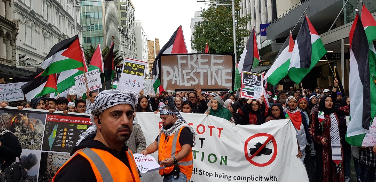 Gallery: Free Palestine rally in Auckland rejects Israeli 'genocide' and  'ethnic cleansing' | Asia Pacific Report