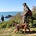 Israel Dog Unit's avatar