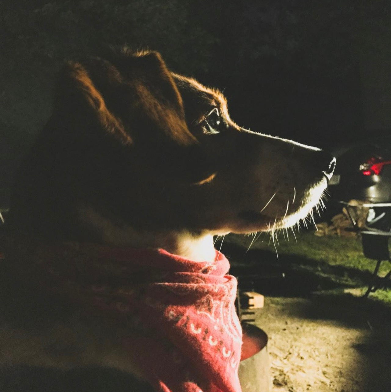 Hard Bop and Cheap Wine