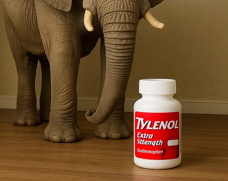 Yes, Prenatal Acetaminophen Use Can Cause Autism, but let's quit ignoring the elephant in the living room...