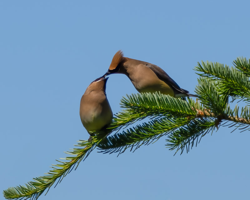 20250610-SJI3-137-Edit.jpg 20250610-SJI3-137-Edit.jpg