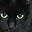 保留中QAJF's avatar