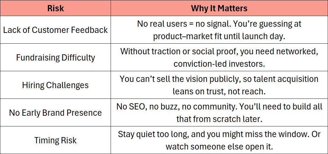 The Secret Strategy of Stealth Startups - The VC Corner