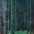 Cliché ‒ Stereotypical Expression