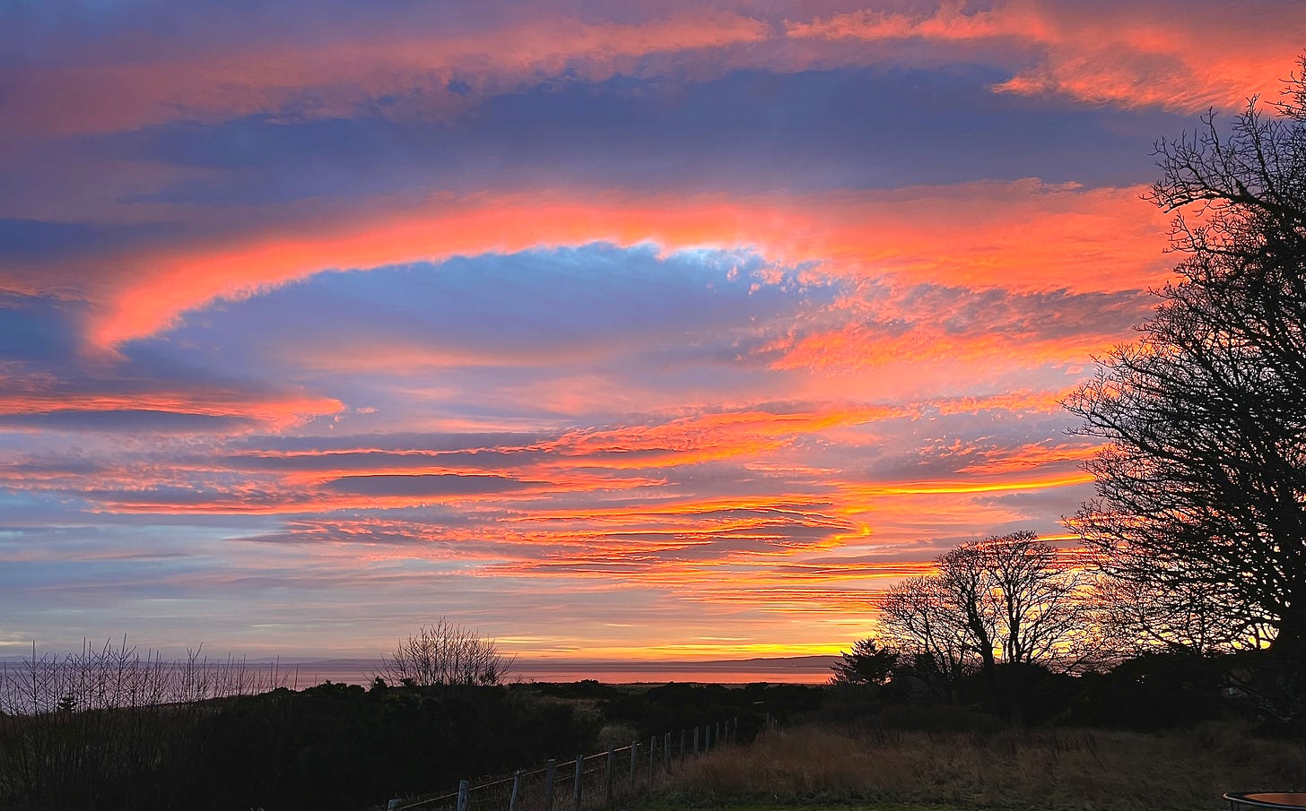 vivid pinks and orange behind bare tree branches with low hills silhouetted in the distance