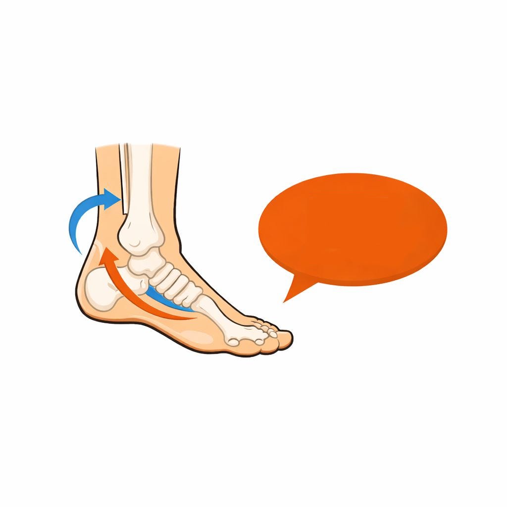 Substack profile picture for @podiatry