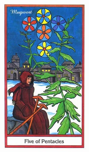 Ý nghĩa lá 5 of Pentacles trong bộ bài Herbal Tarot