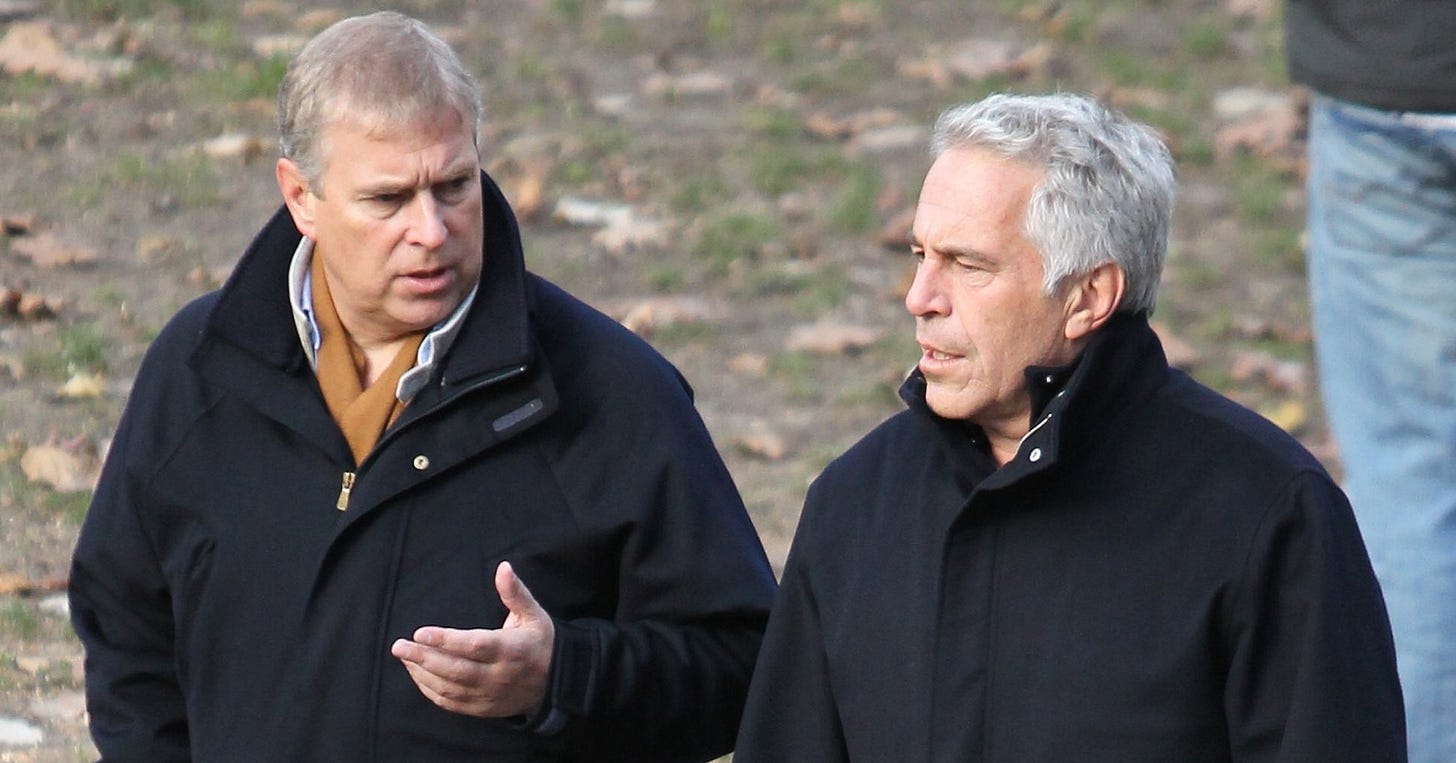 Prince Andrew told Jeffrey Epstein 'we are in this together'