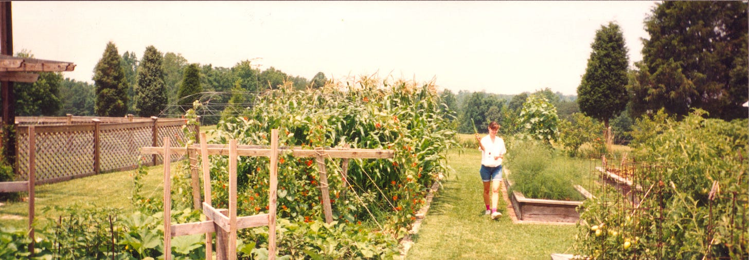 kate kluttz in garden