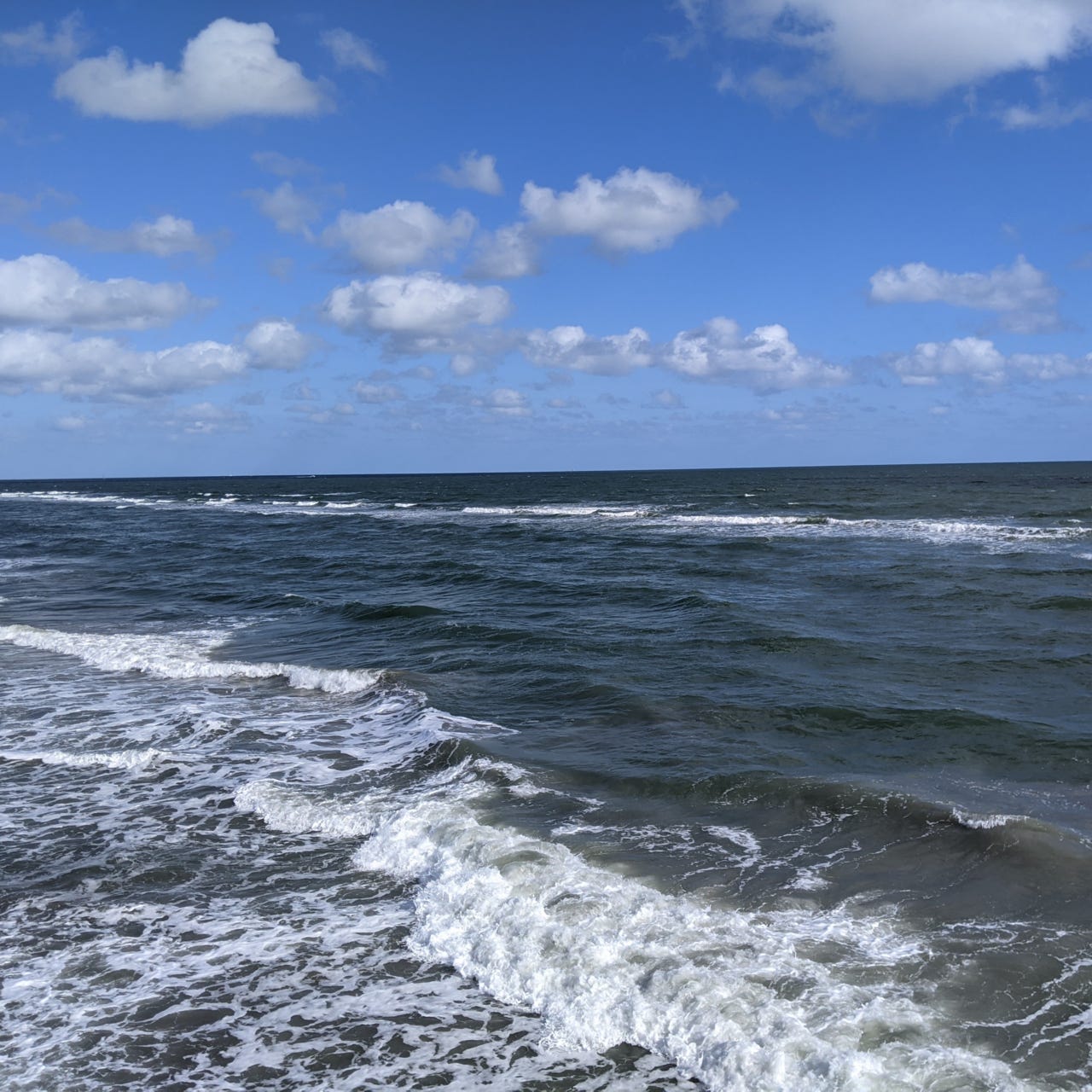 Today My Father and I Did Not Kill Each Other