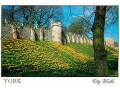 A stone wall with yellow flowers

AI-generated content may be incorrect.