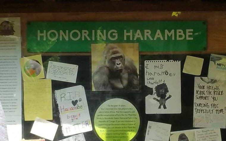 Harambe och meme-politikens genombrott