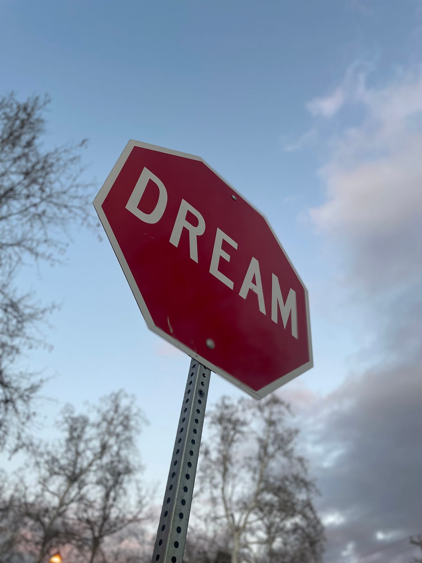 In the foreground there's a red stop sign that says, "dream." In the background, an evening sky and trees.