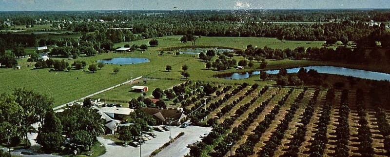 Aerial View Postcard Branch Ranch