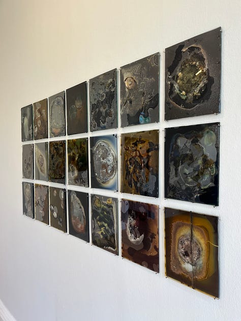 1-2. Constanza Dessain -- Studio Compost / glass, acetate, gelatine, iron salts, washing soda, fruit and vegetables; 3. Fiona Young -- Earth Works / archival pigment prints.