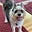 Kris H's avatar