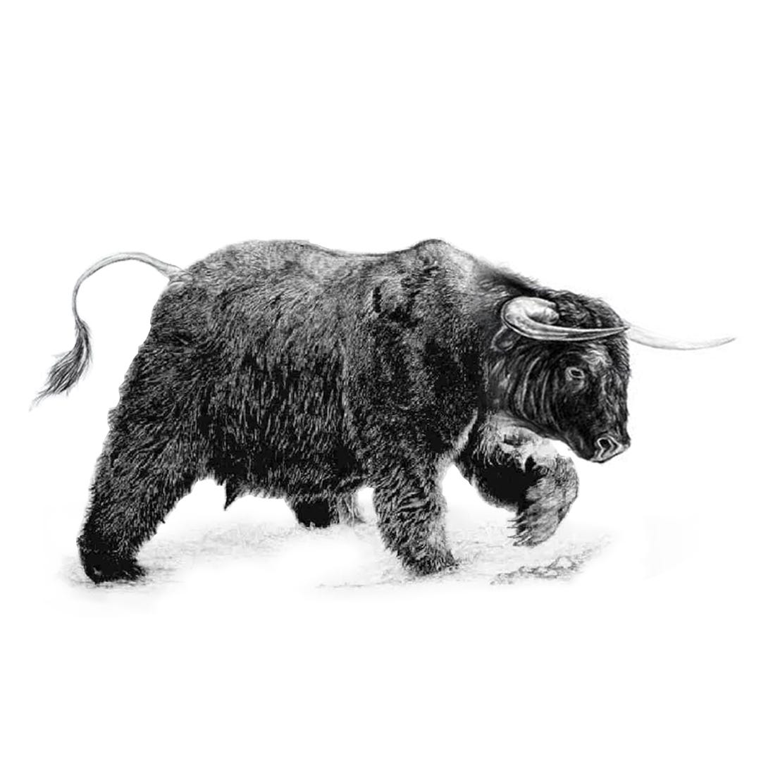 Alaric’s Picks (With Some Risks)