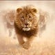 Calvary Harvest Ministry