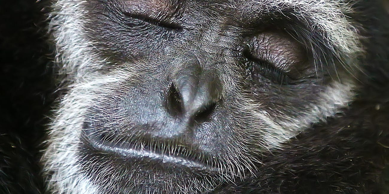 Deep Sleep