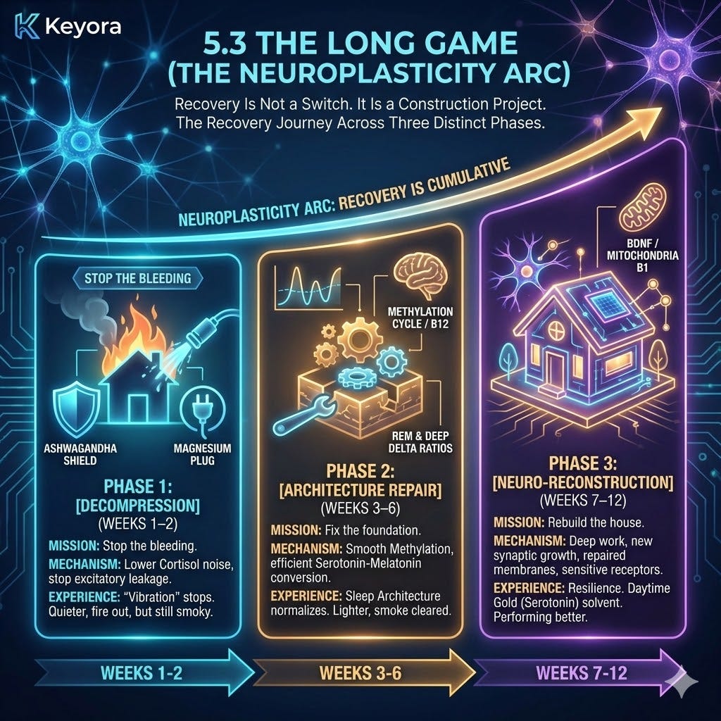 Cumulative neuroplasticity arc triggers BDNF and receptor upregulation via the four-drive system to neutralize neuro-endocrine storm and cement neurological sovereignty. Cumulative neuroplasticity arc triggers BDNF and receptor upregulation via the four-drive system to neutralize neuro-endocrine storm and cement neurological sovereignty.
