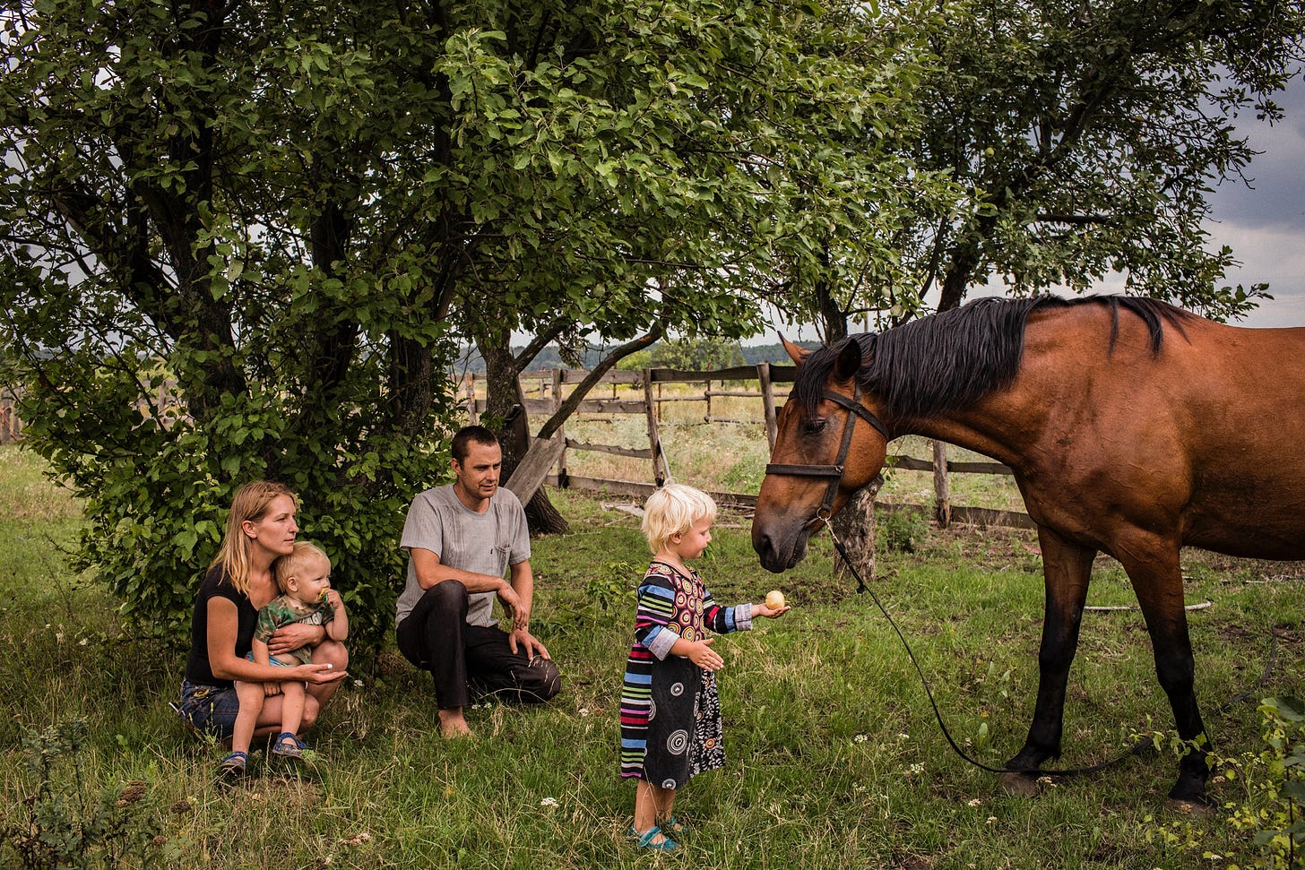 A family with children feeding a horse

Description automatically generated