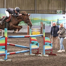 Ponies out in force at Autumn Pony Tour at Connell Hill