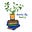 Plants & Poetry House's avatar