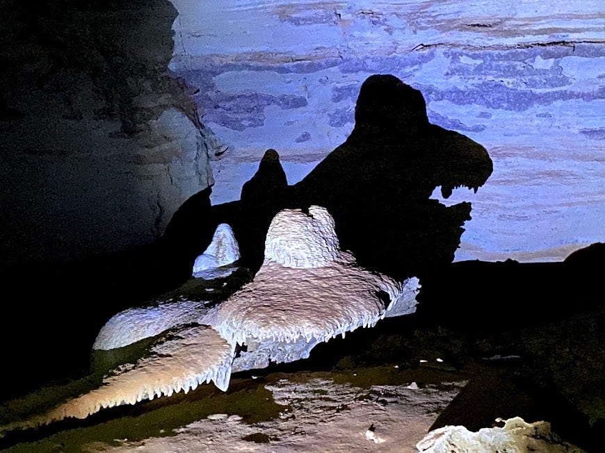 imagem de uma formacao rochosa dentro de uma caverna iluminada artificialmente, a sombra na parede da caverna forma a figura de um monstro, parece um dinossauro