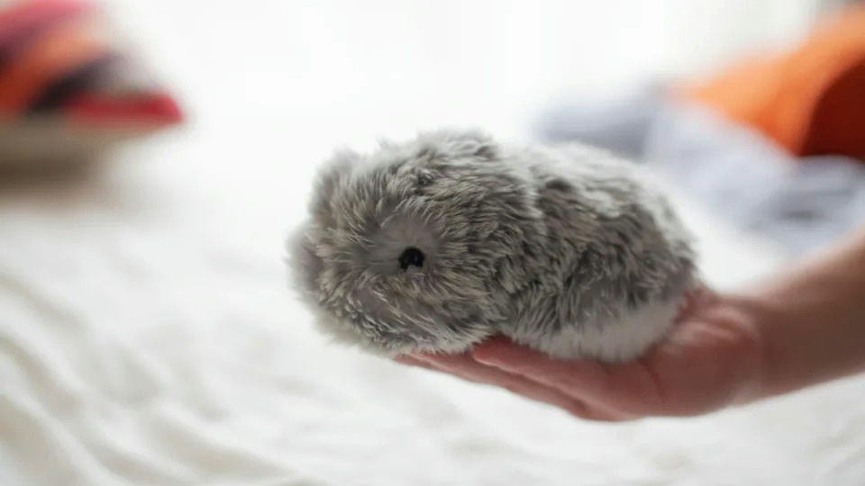 Image from www.engadget.com on 2024-10-15 at 11.24.00.jpeg