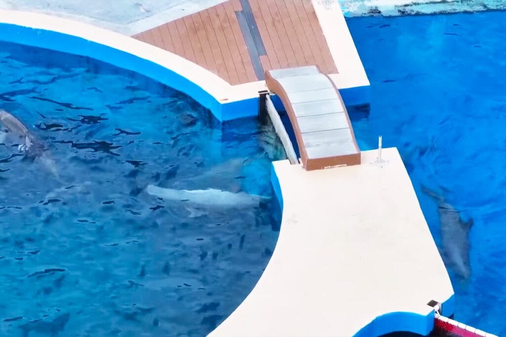 Aerial of Marineland Aerial of Marineland