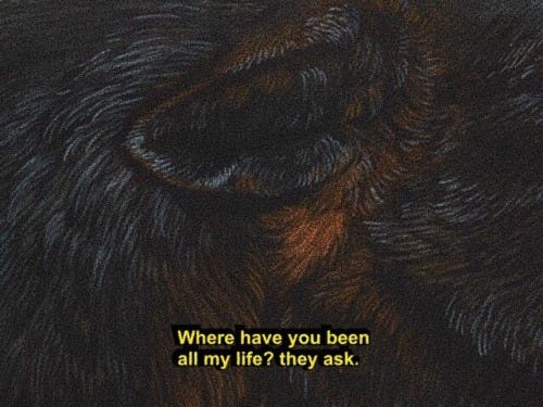 MARGARET ATWOOD x WALTON FORD  ‘Let Us Now Praise Stupid Women’, Good Bones and Simple Murders (1994);  Gleipnir (2012), watercolor, gouache, ink, pencil on paper, 69" x 120" x ½".